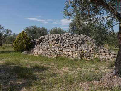 Sulla sinistra si erge invece il rudere di un vecchio pagliaro, caratteristico edificio in pietra dell�agro barese. Ha la volta crollata, ma si distinguono ancora i muri esterni affiancati da strette scalette